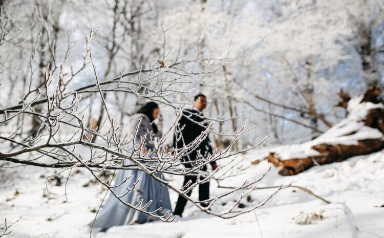  Nunta de Iarnă: Magie în Zăpadă și Detalii Festive